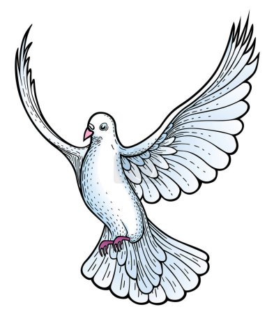 Téléchargez les illustrations : Pigeon colombe volant dans un fond blanc, illustration vectorielle. - en licence libre de droit