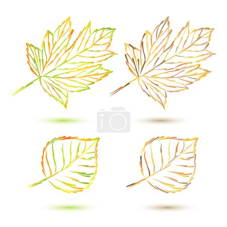Ilustración de Conjunto de hojas de otoño - Imagen libre de derechos