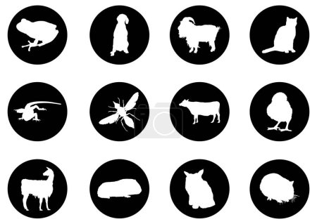 Illustration for Animals vector icons set - Royalty Free Image