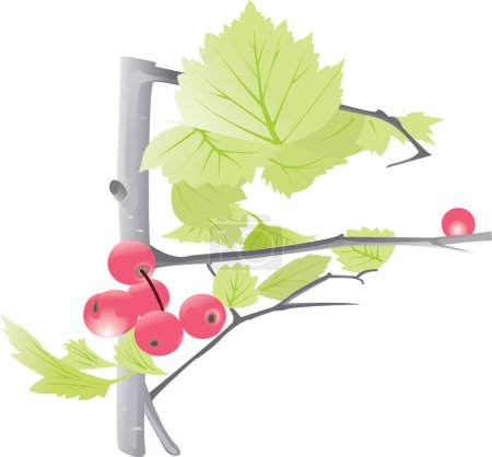 Ilustración de Ilustración vectorial del cerezo - Imagen libre de derechos