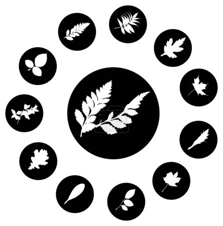 Ilustración de Otoño hojas vector icono conjunto - Imagen libre de derechos