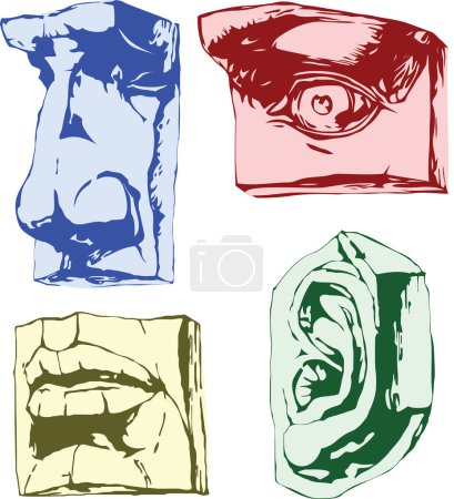 Illustration for Parts of face, modern vector illustration - Royalty Free Image