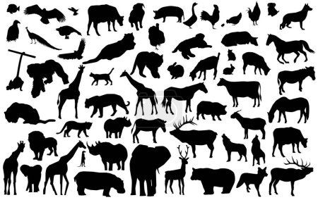Téléchargez les illustrations : Collection de silhouettes d'animaux. vecteur - en licence libre de droit