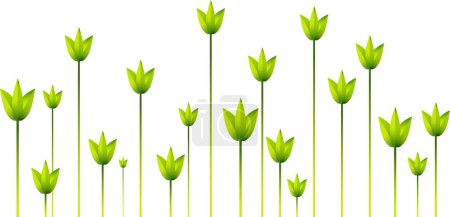 Illustration for Spring flowers on white background - Royalty Free Image