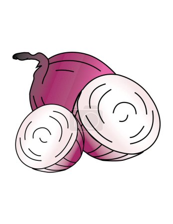 Illustration for Red onions vector illustration - Royalty Free Image