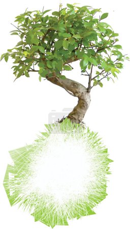 Ilustración de Árbol de bonsái verde, 3 d render - Imagen libre de derechos