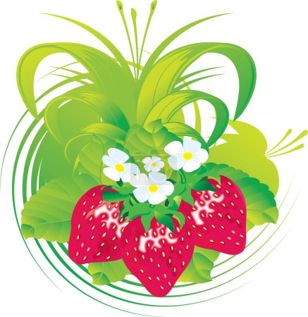 Ilustración de Fresas con flores blancas - Imagen libre de derechos