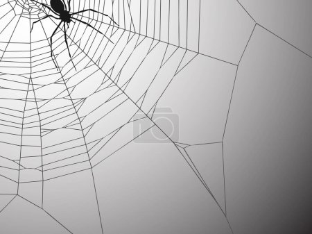 Ilustración de Araña y tela sobre fondo gris - Imagen libre de derechos