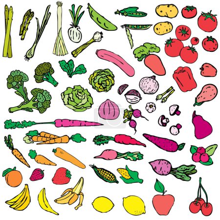 Téléchargez les illustrations : Jeu d'illustrations vectorielles de légumes et fruits - en licence libre de droit