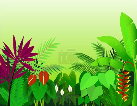 Ilustración de Hojas tropicales con flores - Imagen libre de derechos