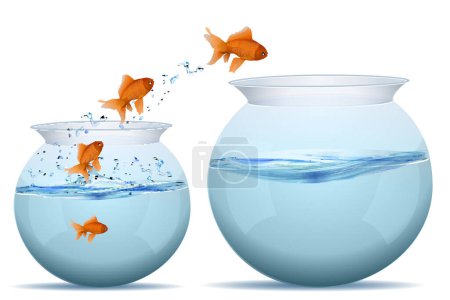 Illustration for Fish in aquarium with fishes - Royalty Free Image