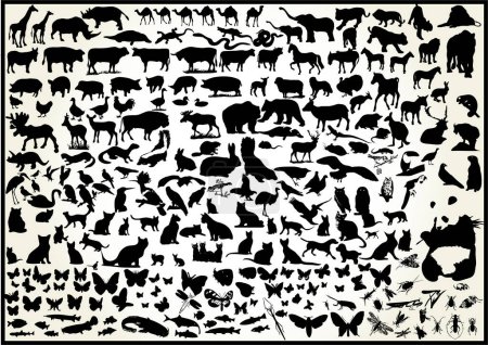 Téléchargez les illustrations : Ensemble d'animaux silhouettes fond vectoriel - en licence libre de droit