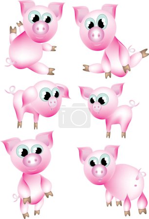 Téléchargez les photos : Ensemble de cochons mignons sur fond blanc - en image libre de droit