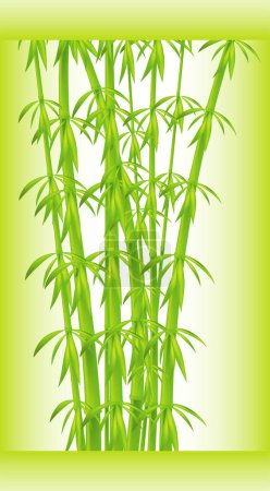 Téléchargez les illustrations : Feuilles de bambou vert illustration vectorielle moderne - en licence libre de droit