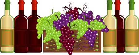 Téléchargez les illustrations : Ensemble de bouteilles de vin et de raisins différents - en licence libre de droit