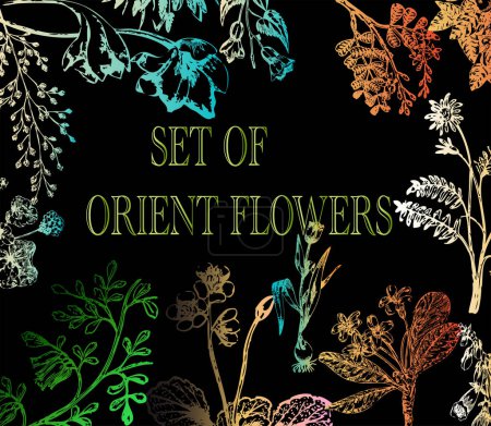 Téléchargez les illustrations : Ensemble vectoriel de fleurs orientales - en licence libre de droit