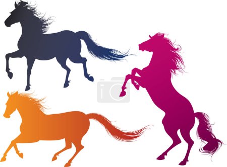 Téléchargez les illustrations : Silhouettes de chevaux illustration vectorielle isolée sur blanc - en licence libre de droit