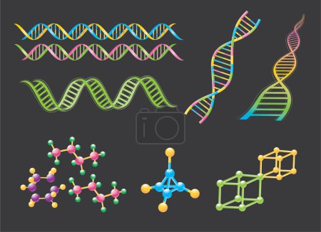 Ilustración de ADN de molécula e ilustración de vectores de estructura genética - Imagen libre de derechos