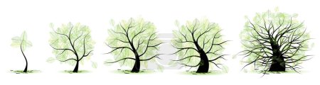 Ilustración de Conjunto de árboles. acuarela ilustración pintada a mano - Imagen libre de derechos