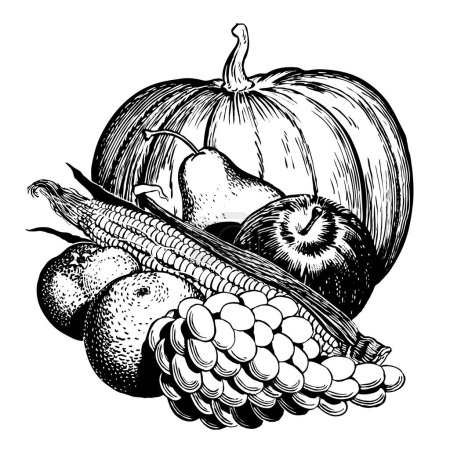 Téléchargez les illustrations : Citrouille et maïs. style gravé noir et blanc - en licence libre de droit