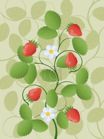 Illustration for Strawberries, modern vector illustration - Royalty Free Image