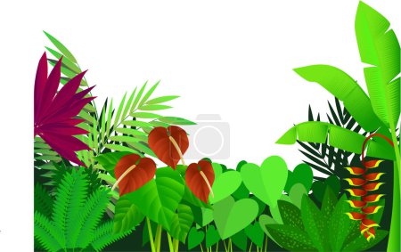 Téléchargez les illustrations : Ensemble de plantes tropicales avec des fleurs - en licence libre de droit