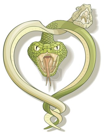 Ilustración de Ilustración de serpiente sobre fondo blanco - Imagen libre de derechos