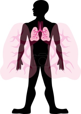 Illustration for Lungs with human silhouette - Royalty Free Image