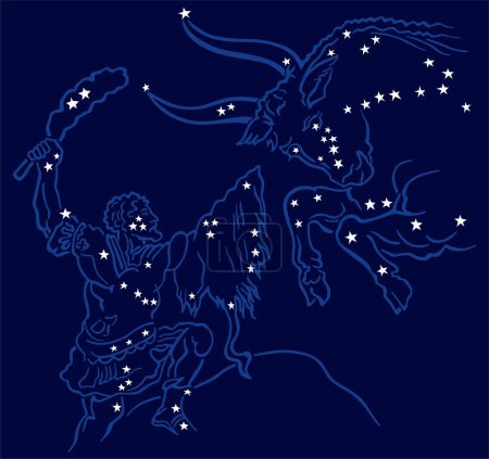 Illustration for Vector illustration of zodiac sign of taurus - Royalty Free Image