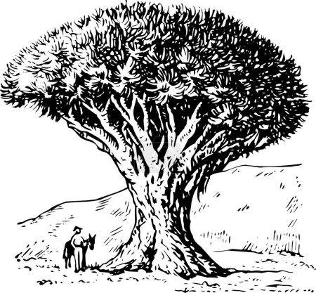 Téléchargez les illustrations : Illustration vectorielle noir et blanc de grand arbre - en licence libre de droit