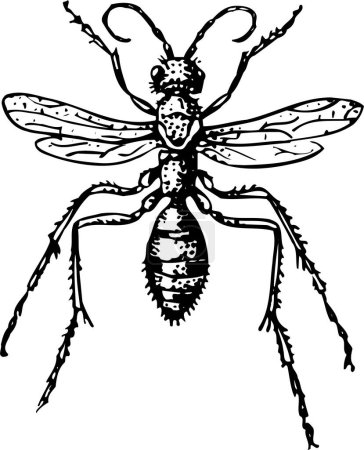 Illustration for Black and white cartoon illustration of a bee - Royalty Free Image