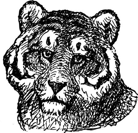 Ilustración de Tigre, ilustración vector moderno - Imagen libre de derechos