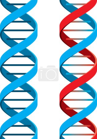 Illustration for Abstract vector dna symbol on white background - Royalty Free Image