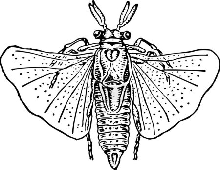 Téléchargez les illustrations : Illustration en bois de libellule - en licence libre de droit