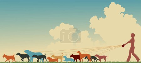 Téléchargez les illustrations : Homme promenant des chiens avec une laisse marchant sur la prairie. - en licence libre de droit