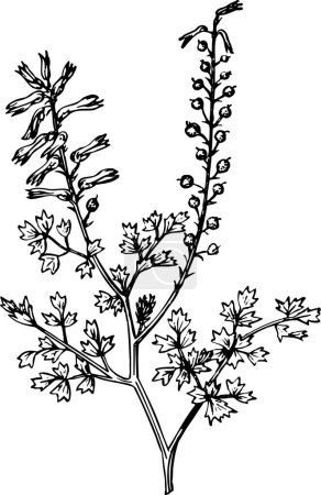Illustration for Vector illustration of branches with flowers - Royalty Free Image