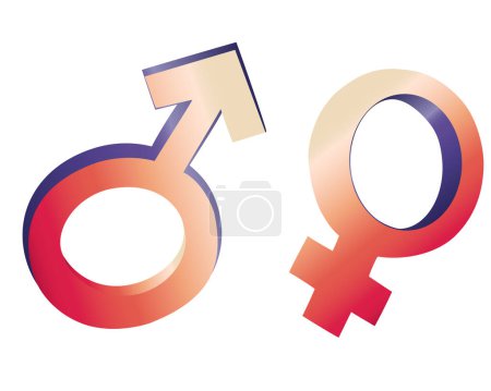 Illustration for Female and male signs on white background - Royalty Free Image