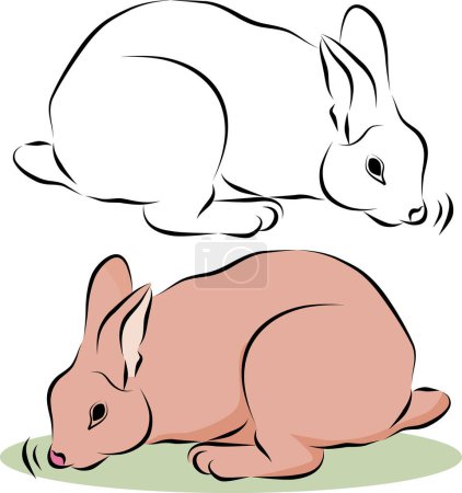 Ilustración de Conejos dibujos animados conjunto vector ilustración - Imagen libre de derechos