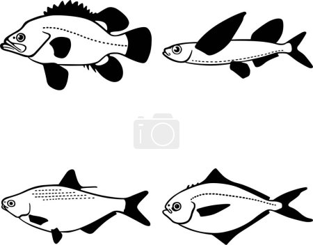 Ilustración de Ilustración vectorial de peces establecidos sobre un fondo blanco - Imagen libre de derechos