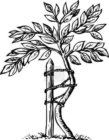 Téléchargez les illustrations : Croquis vectoriel d'un arbre avec des branches - en licence libre de droit
