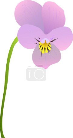Ilustración de Hermosa flor, ilustración vectorial decorativa - Imagen libre de derechos