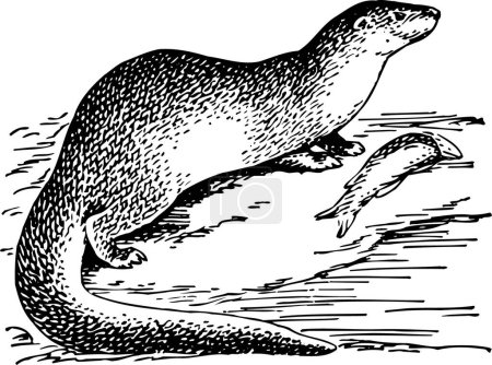 Illustration for Seal seal, vector illustration - Royalty Free Image