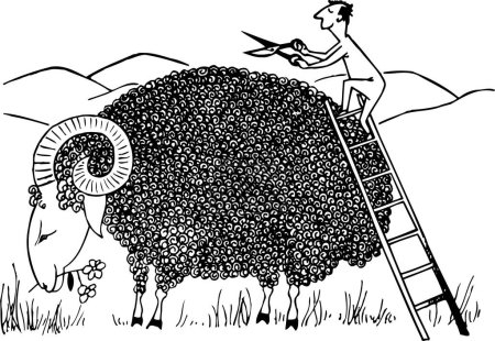 Illustration for A cartoon illustration of a man cut the sheep wool on the field. - Royalty Free Image