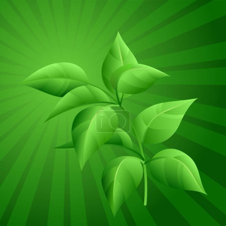 Illustration for Vector illustration of green leaves - Royalty Free Image