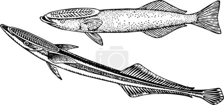 Téléchargez les illustrations : Illustration de deux icônes de poisson noir et blanc sur fond blanc - en licence libre de droit