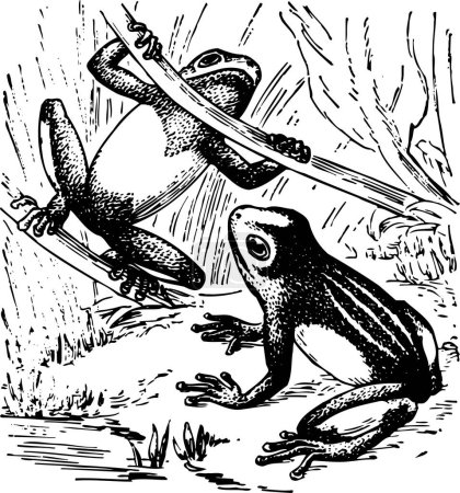 Téléchargez les illustrations : Illustration d'une grenouille noire et blanche avec le couteau sur la branche d'un arbre - en licence libre de droit
