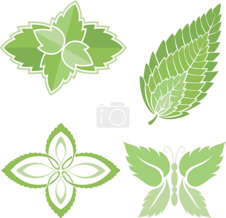 Illustration for Set of green leaves on white background - Royalty Free Image