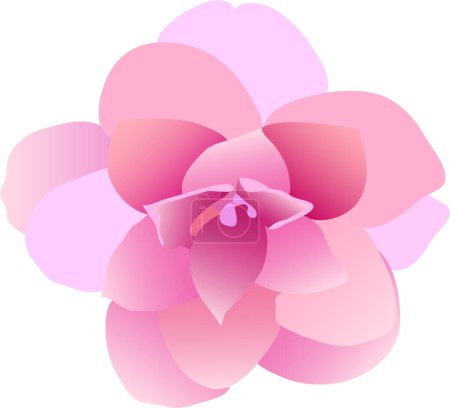 Illustration for Pink flower with green leaves. vector - Royalty Free Image