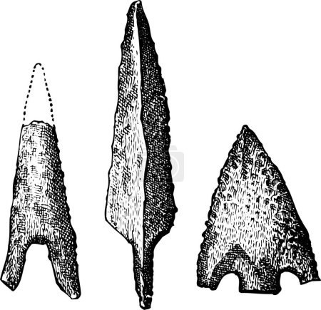 Ilustración de Ilustración en blanco y negro Corte en madera de lanza de pedernal neolítico y puntas de flecha aisladas sobre blanco - Imagen libre de derechos