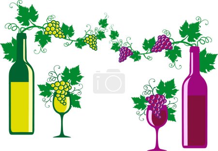 Téléchargez les illustrations : Bouteilles de vin, raisin et vecteur de vigne - en licence libre de droit